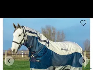 Täcken hästutrustning Sommartäcke Rambo - Annons 2
