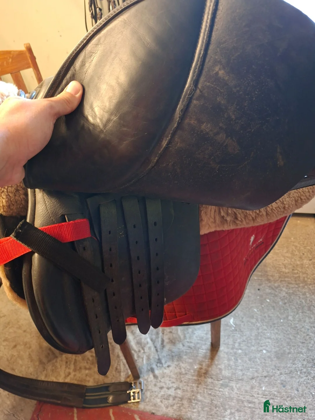 Sadlar hästutrustning till salu: Crown 17" hoppsadel  - Annons 2