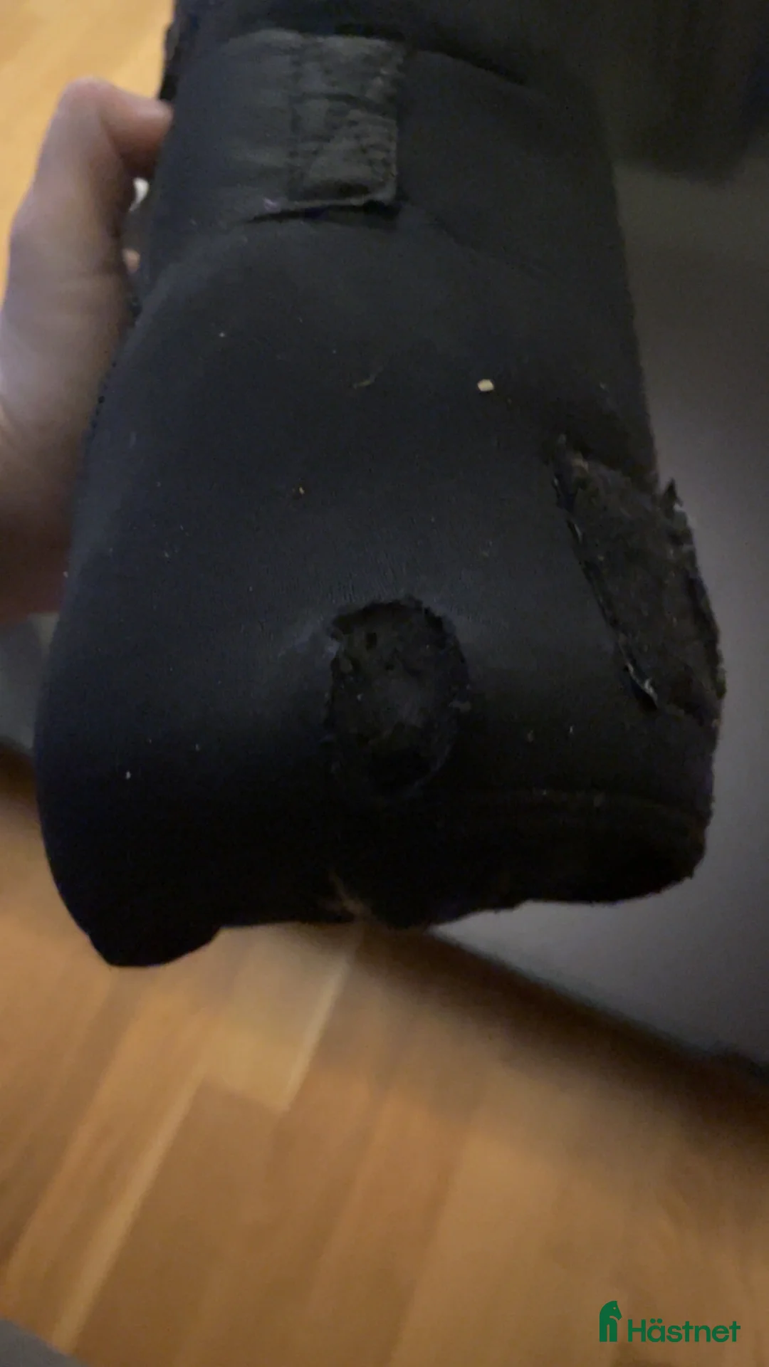 Benskydd hästutrustning till salu: Back on track  - Annons 4