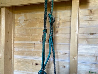 Övrig Hästutrustning hästutrustning till salu: Turkos repgrimma med långt grimskaft i Haparanda - Annons 7