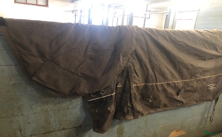 Täcken hästutrustning till salu i Visby - Annons 16