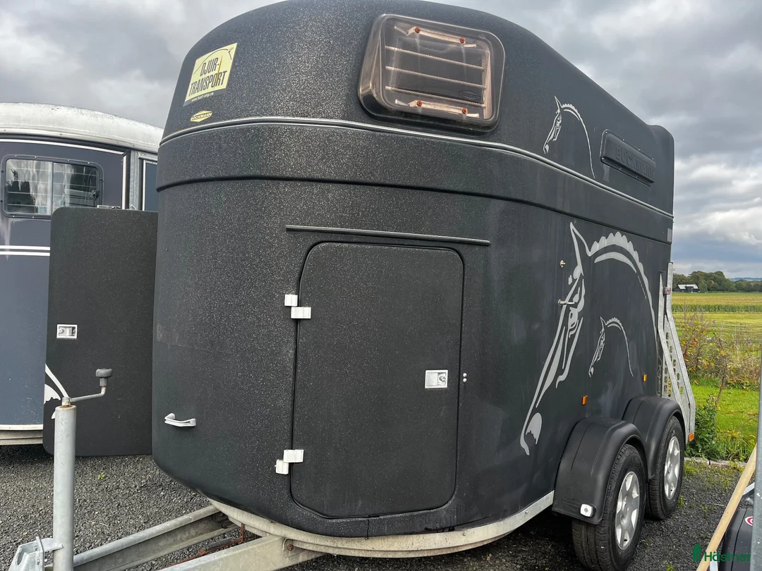 Hästtransporter  fordon & transport till salu: Böckmann Big Master L i Lund - Annons 1