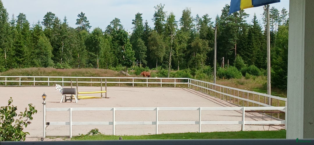  stallplats finnes: Svenljunga i Svenljunga - Annons 7