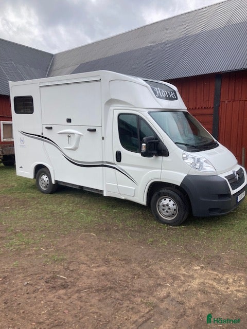 Hästlastbilar  fordon & transport till salu: B-korts Hästlastbil 3-sits - Annons 1