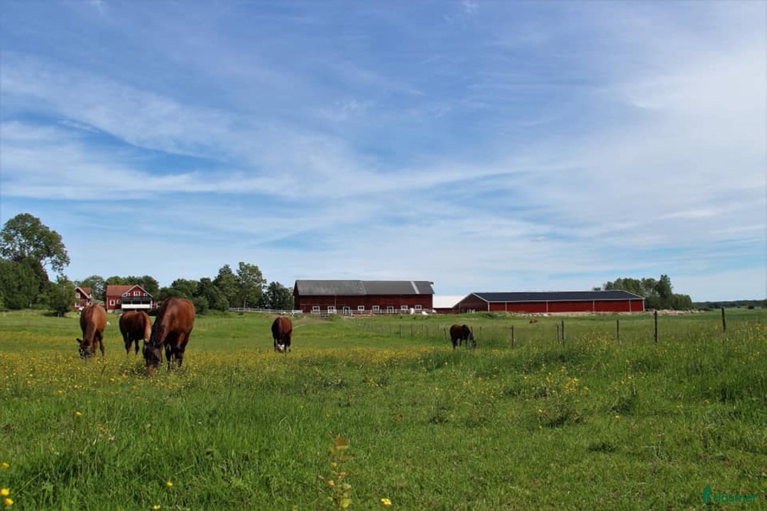  stallplats finnes: Stallplats finnes, 10min från Örebro C i Örebro - Annons 2