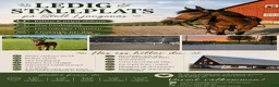  stallplats finnes: Stallplatser lediga  - Annons 1
