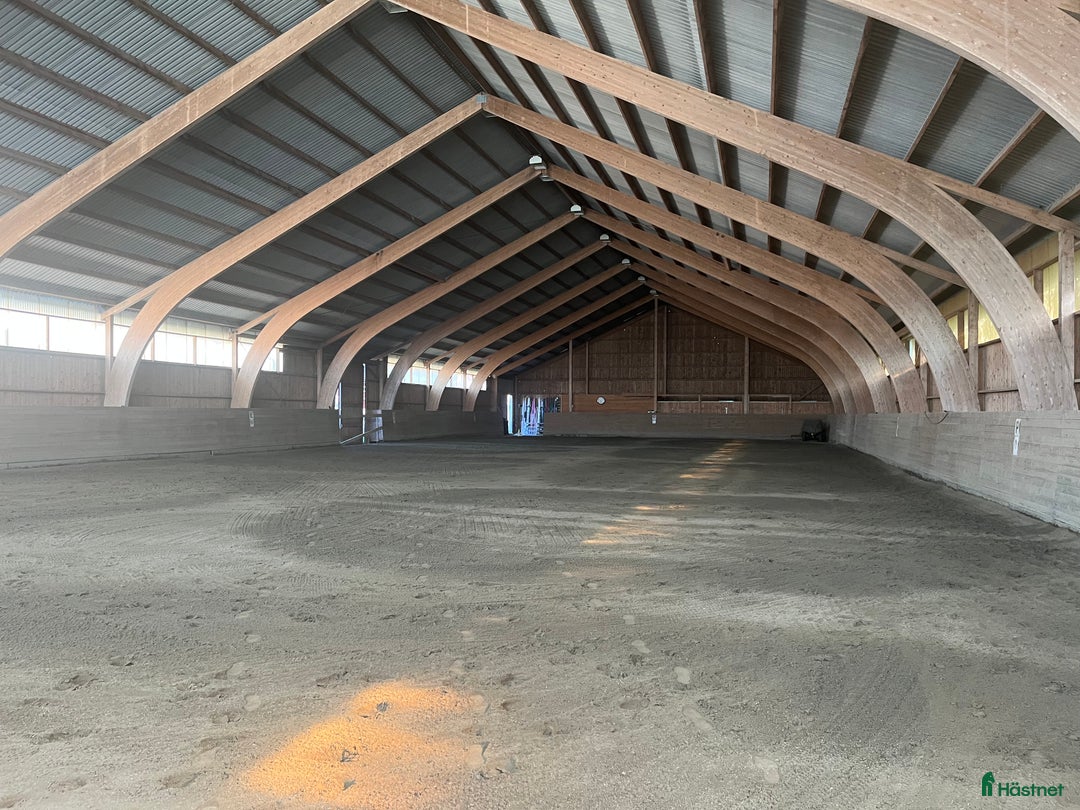  stallplats finnes: Lediga boxar i Grimeton - Annons 2