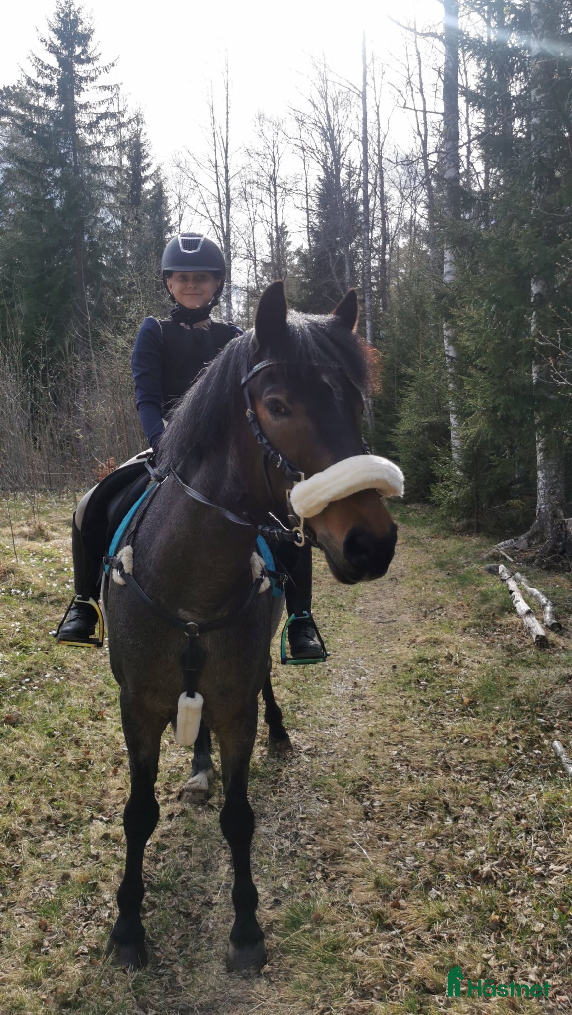  hästar Fin bästa vän 💞  - Annons 8