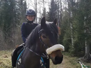 hästar Fin bästa vän 💞 - Annons 8