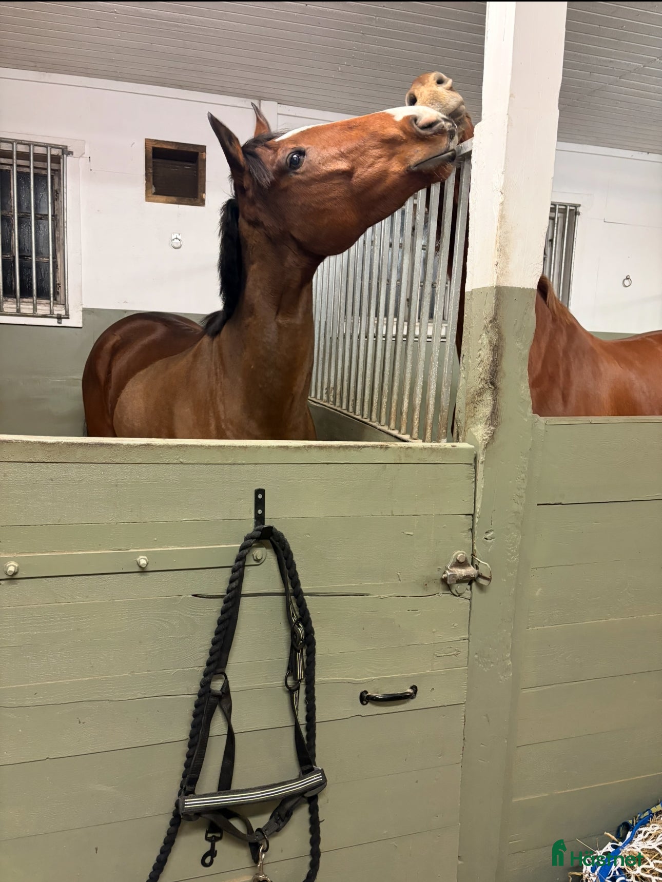  stallplats Ledig stallplats i Västra Husby/Tvärdala - Annons 2