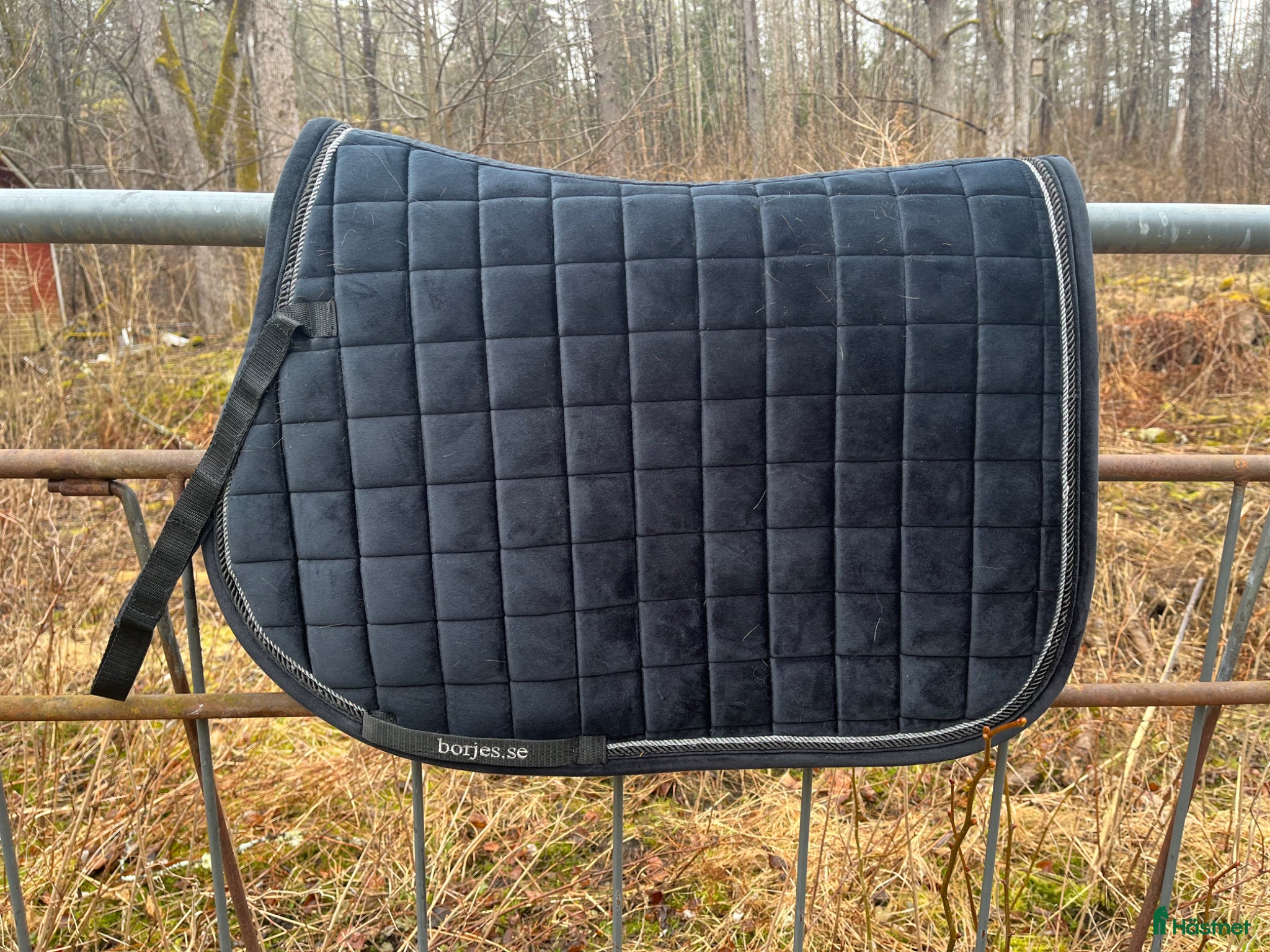 Schabrak & Vojlockar hästutrustning Allroundschabrak strl full  - Annons 4