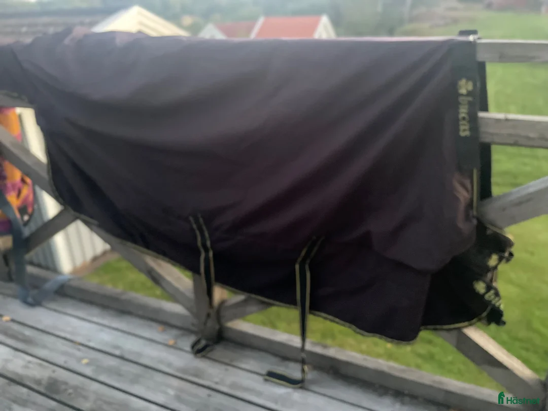 Täcken hästutrustning till salu: Bucas täcke - Annons 2