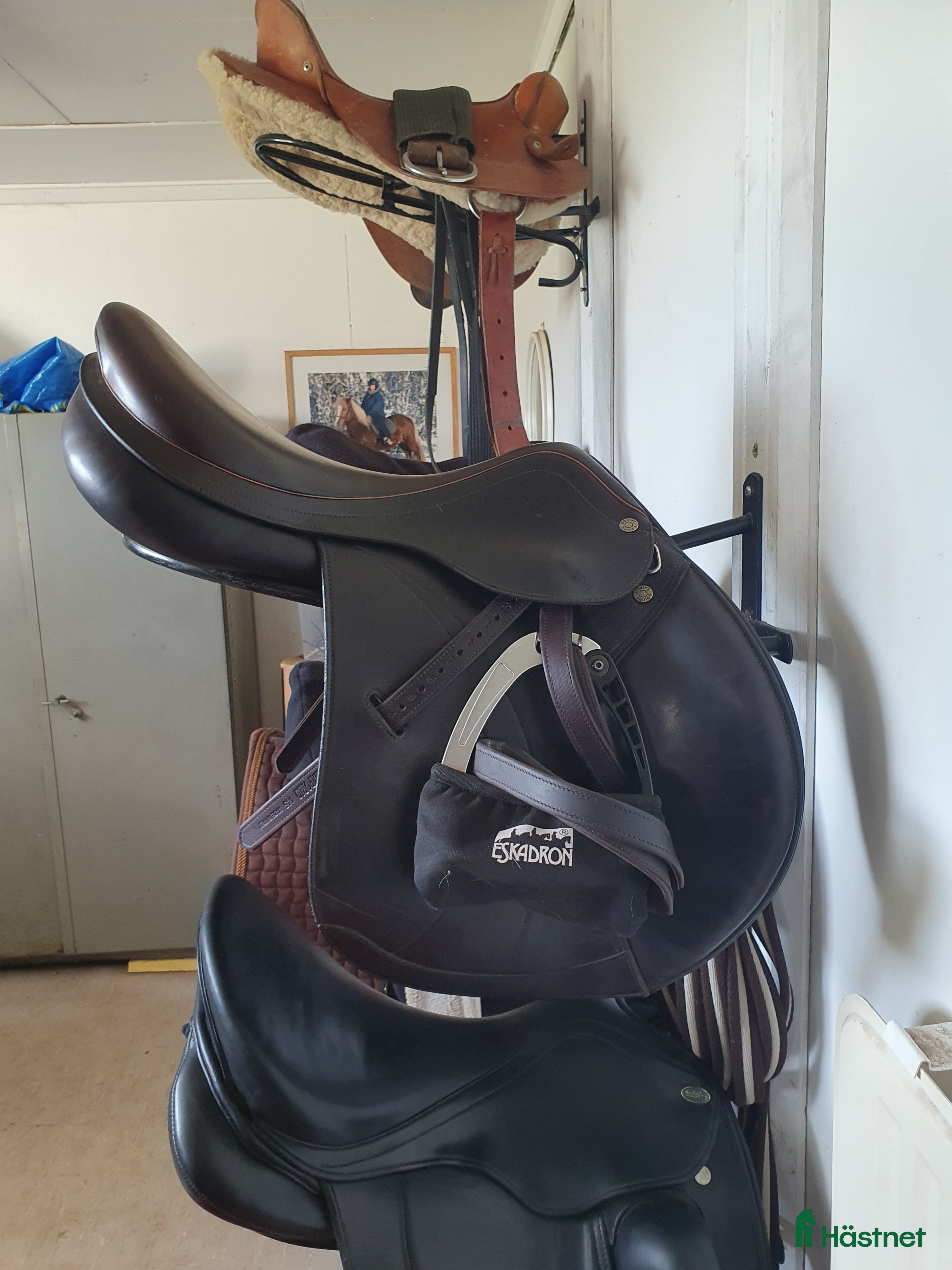 Sadlar hästutrustning till salu: Equipe Linnea m+1 - Annons 2