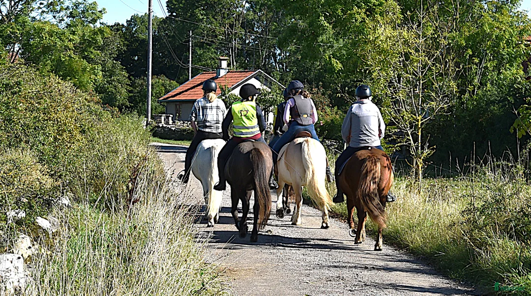 Galleribild {{count}}