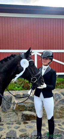 hästar Drömponny med stor framtid i Rimbo - Annons 1