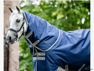 Täcken hästutrustning till salu: Amigo i toppskick - Annons 1