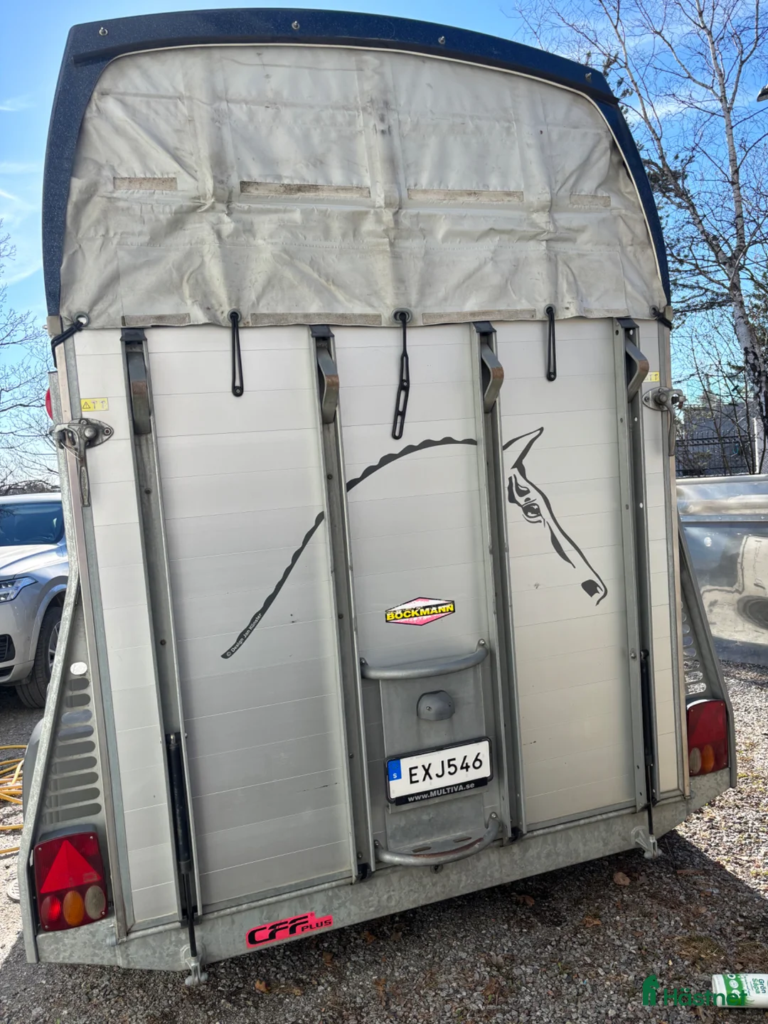 Hästtransporter  fordon & transport till salu: Välvårdad Böckmann Champion R i Täby - Annons 2