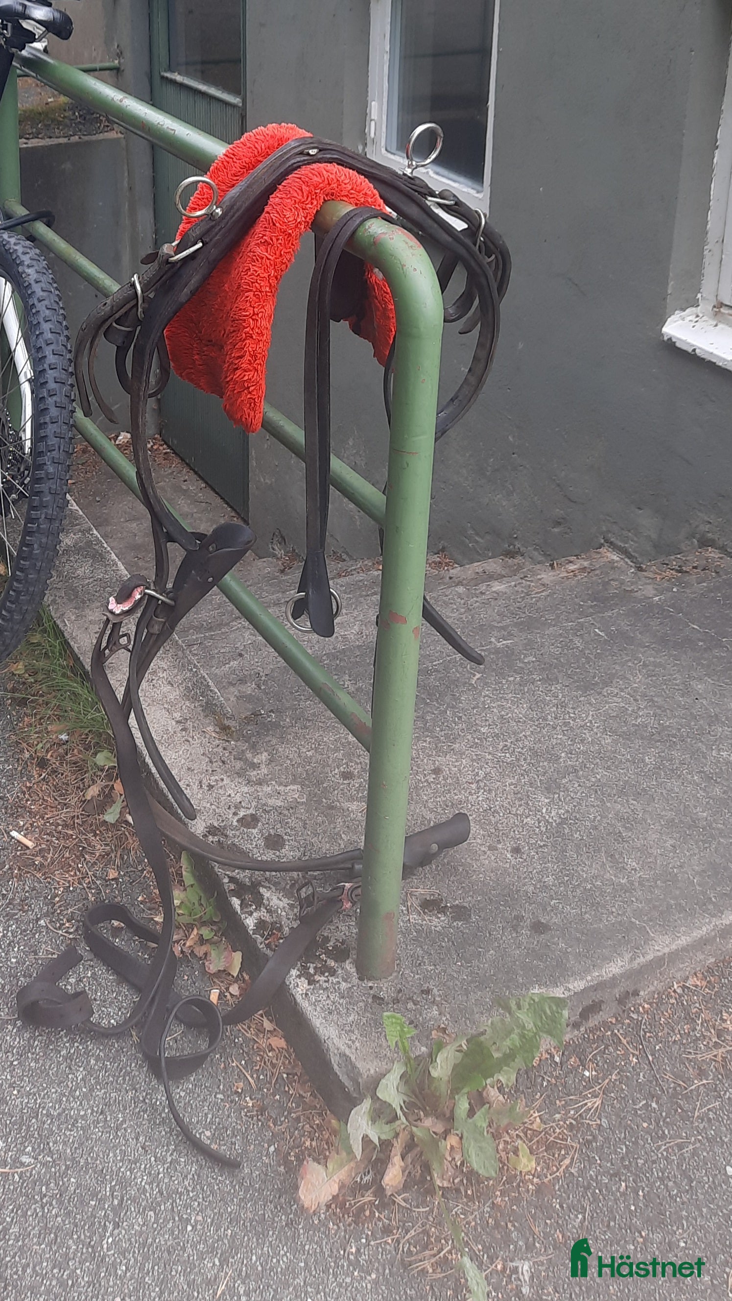 Övrig Hästutrustning hästutrustning till salu: Travsele med svanskappa i Borås - Annons 1