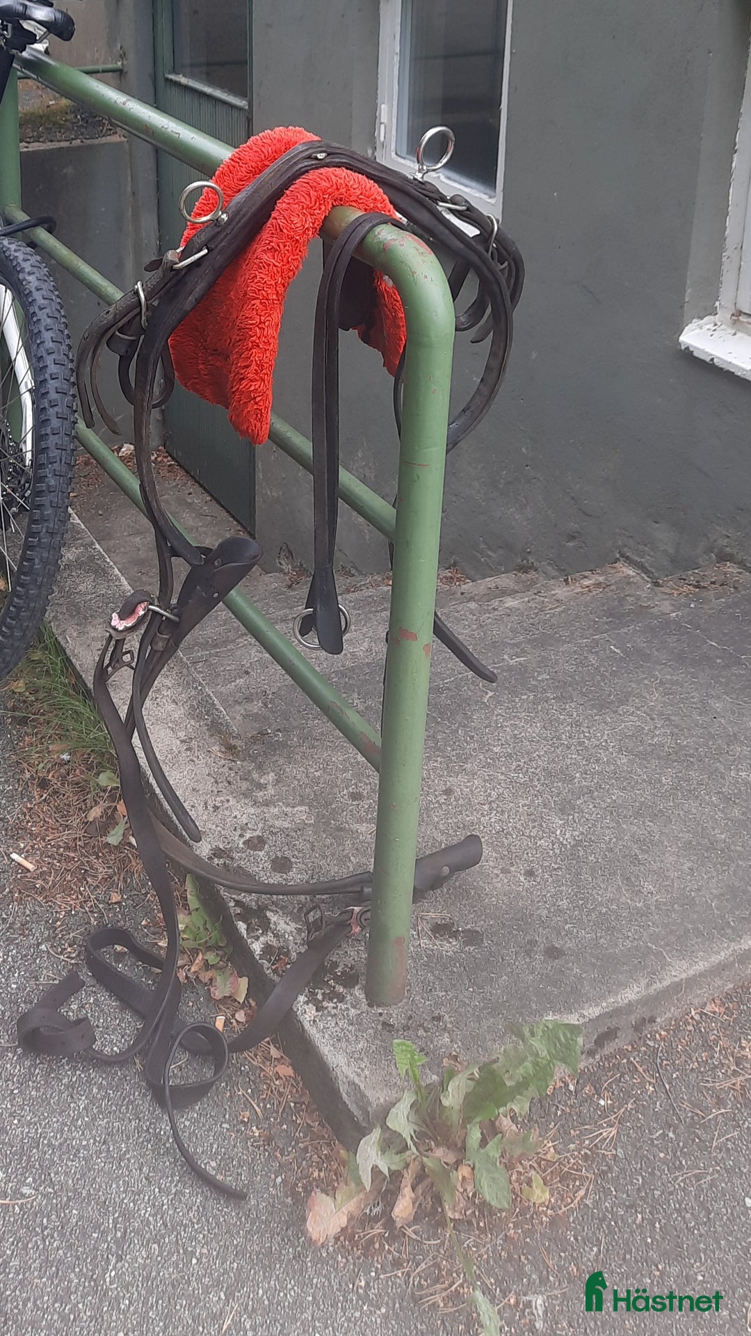 Övrig Hästutrustning hästutrustning till salu: Travsele med svanskappa i Borås - Annons 1