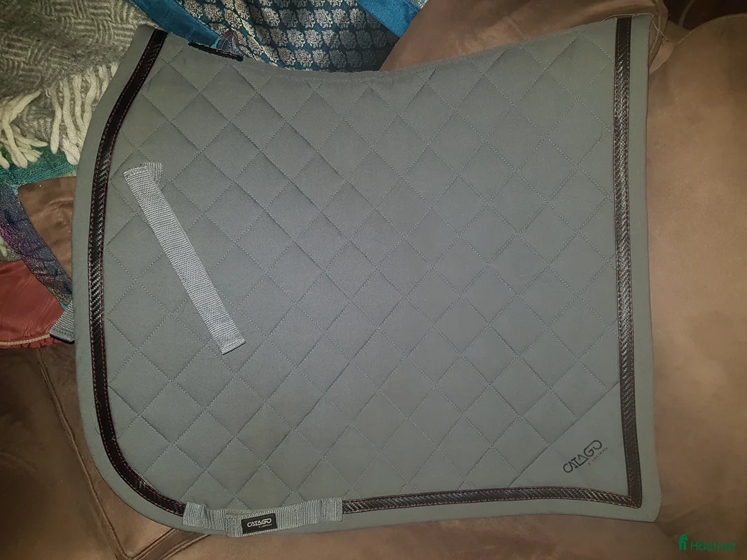 Schabrak & Vojlockar hästutrustning till salu: Catago schabrak full i Söråker - Annons 1