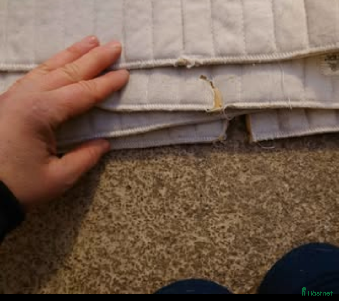 Benskydd hästutrustning till salu: Benskydd och benlindor säljes  i Uppsala - Annons 3