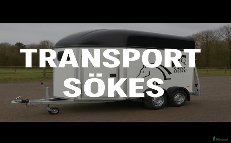 Hästtransporter  fordon & transport till salu: Söker renoveringsobjekt  i Bollnäs - Annons 2