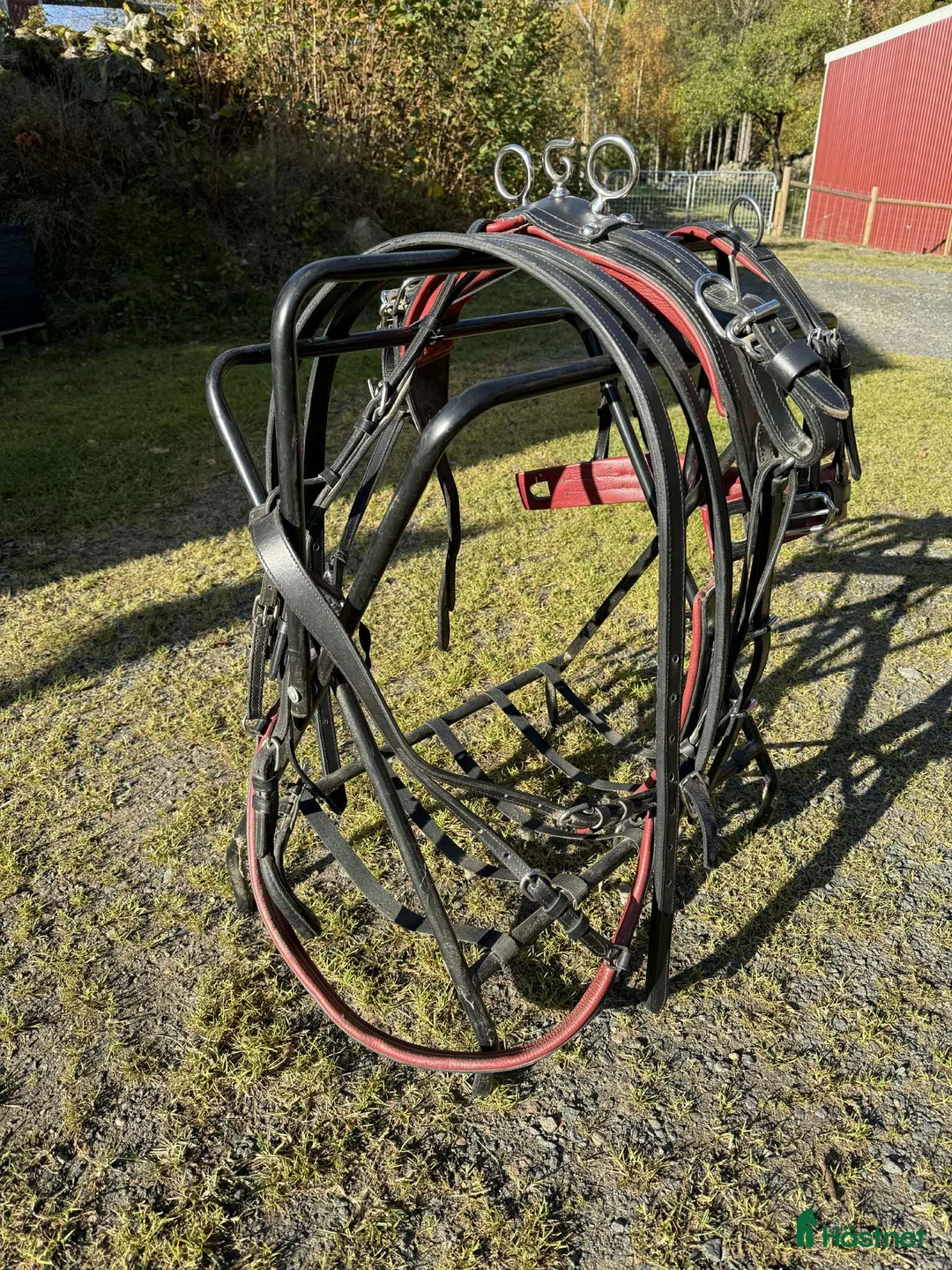 Körsulkys körning till salu: Körsele Sofie & träns till shettis i Perstorp - Annons 3