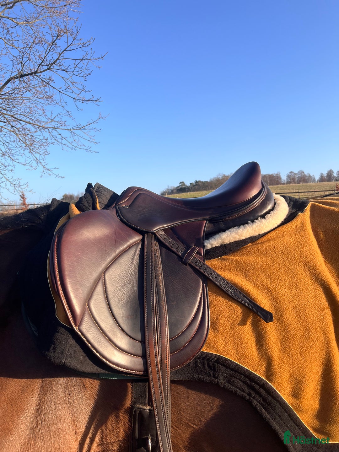 Sadlar hästutrustning till salu: HBC sadel i utmärkt skick i Veberöd - Annons 1