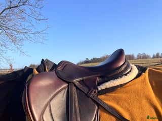 Sadlar hästutrustning till salu: HBC sadel i utmärkt skick i Veberöd - Annons 4