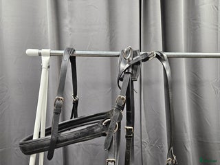 Övrig Hästutrustning hästutrustning till salu: Bröstsele, ponny i Gällivare - Annons 14