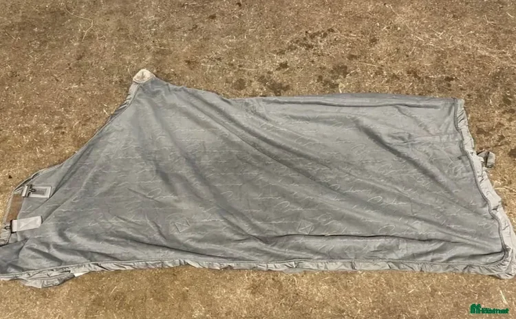 Täcken hästutrustning till salu i Hägersten - Annons 16