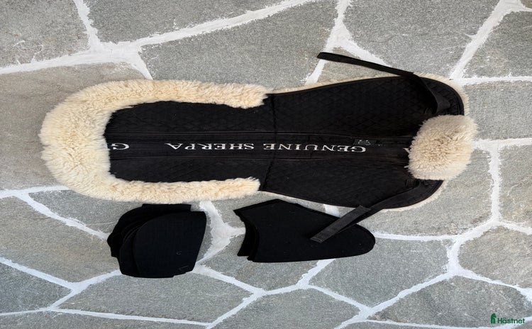 Sadeltillbehör hästutrustning till salu i Drottningholm - Annons 13