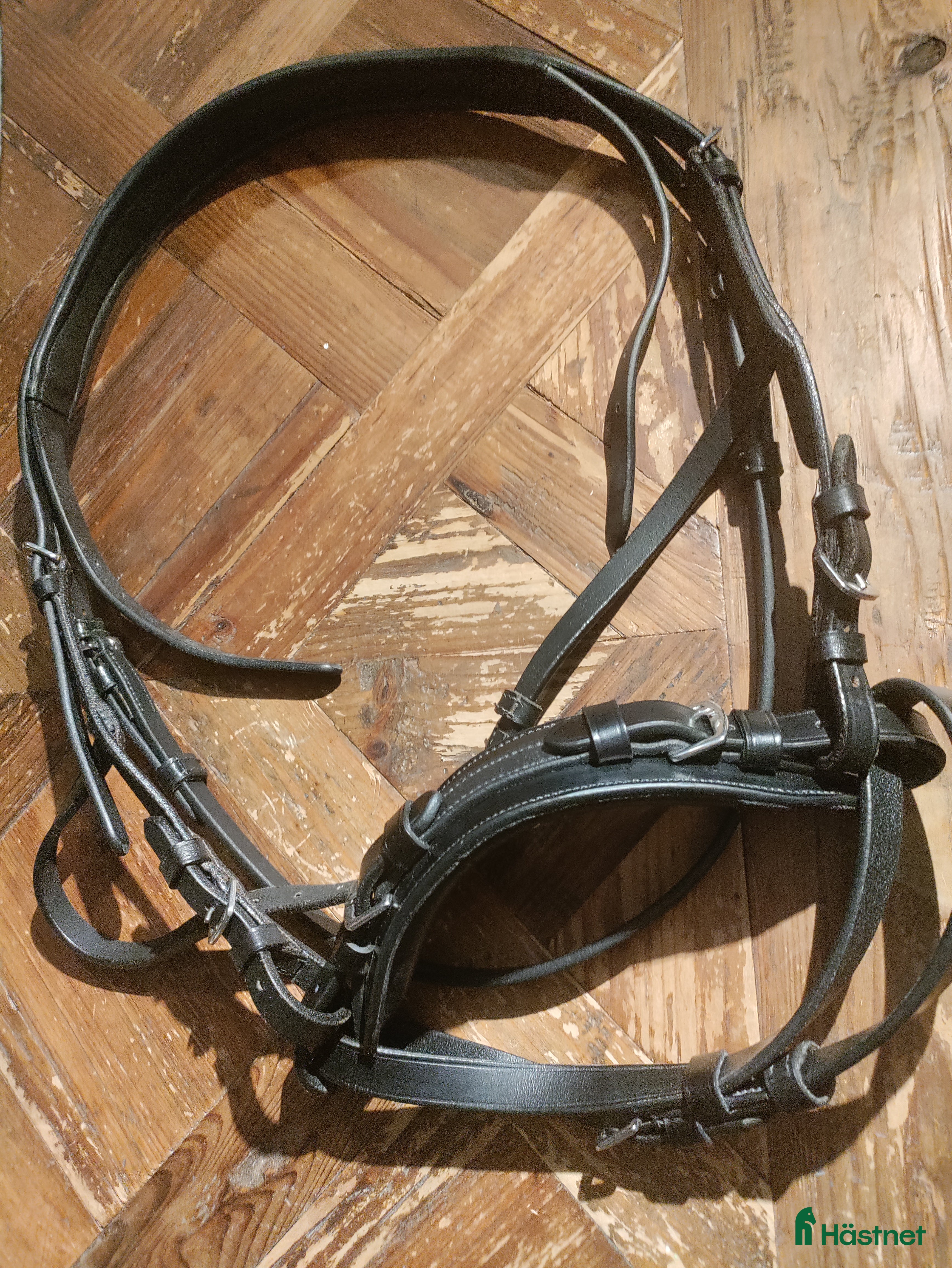 Träns hästutrustning Hackamore träns strl. Full i Visby - Annons 1