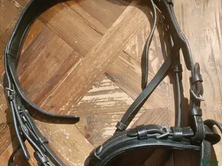 Träns hästutrustning till salu: Hackamore träns strl. Full i Visby - Annons 4