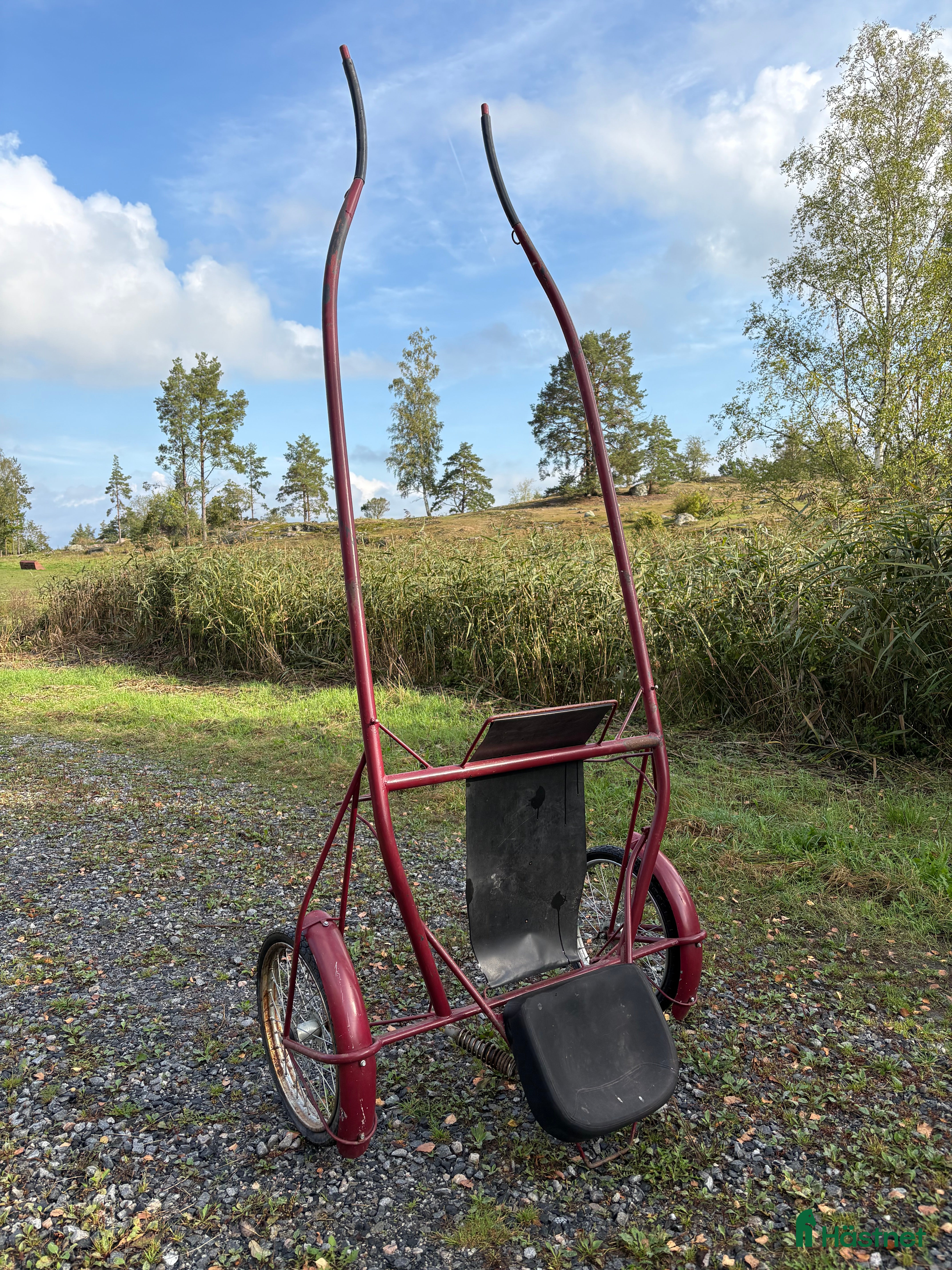 Travsulkys trav till salu: Speedcart i Vikbolandet - Annons 7