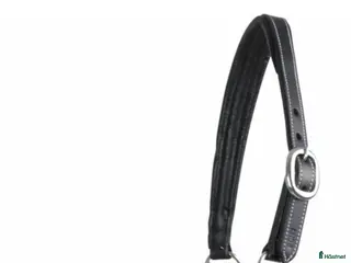 Övrig Hästutrustning hästutrustning Lädergrimma - Annons 3