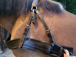 Övrig Hästutrustning hästutrustning till salu: Brösta till stor häst i Grillby - Annons 15