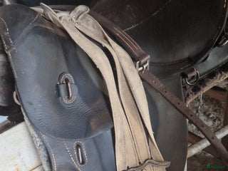 Sadlar hästutrustning till salu: Sadlar,rockard,speedcar,selar mm - Annons 1