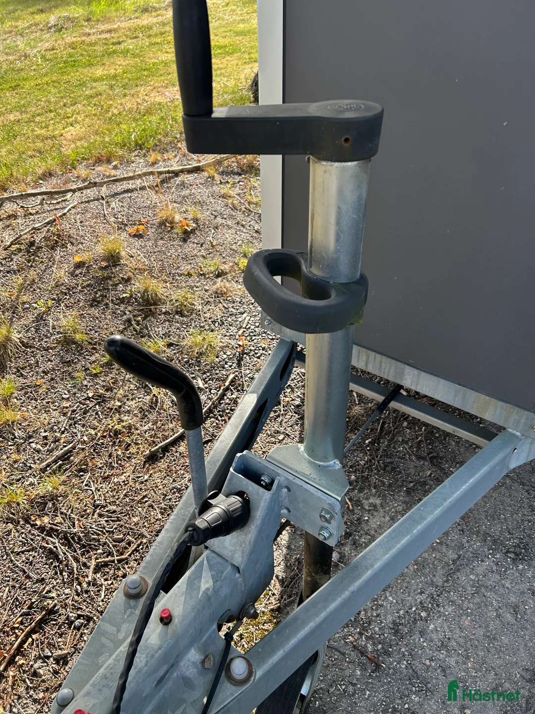 Hästtransporter  fordon & transport till salu: Cheval Gold  i Hedekas - Annons 5