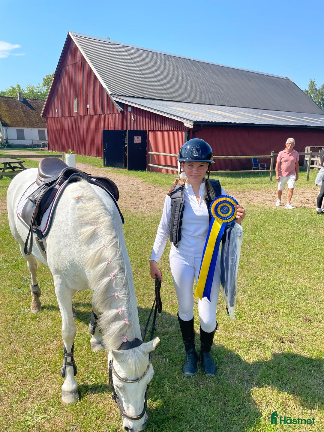 Hoppning hästar till salu: Snäll och rolig C-ponny i Hurva - Annons 3