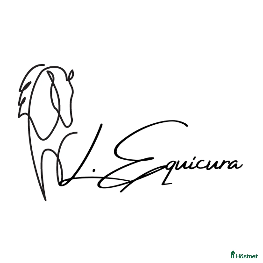  hästservice finnes: Hästmassage i Älmhult - Annons 3