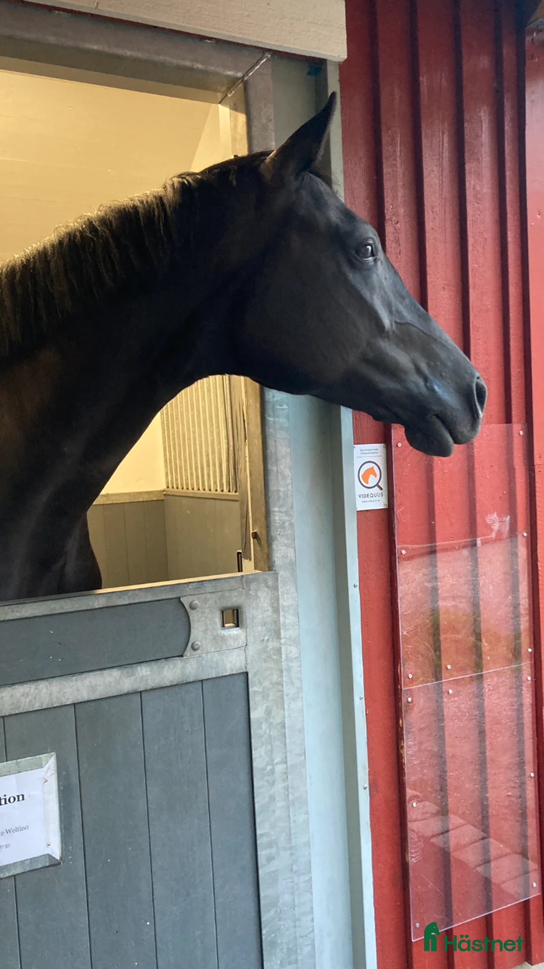  stallplats finnes: Lediga Stallplatser på Gudö  - Annons 2