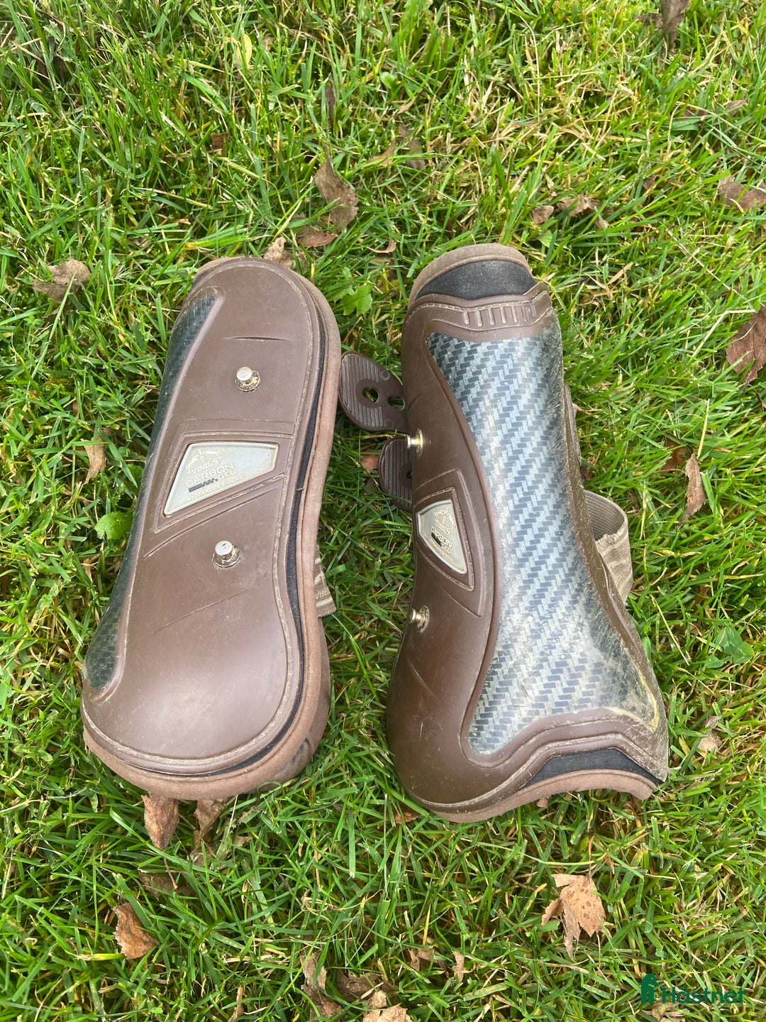 Benskydd hästutrustning till salu: Veredus skydd - Annons 1