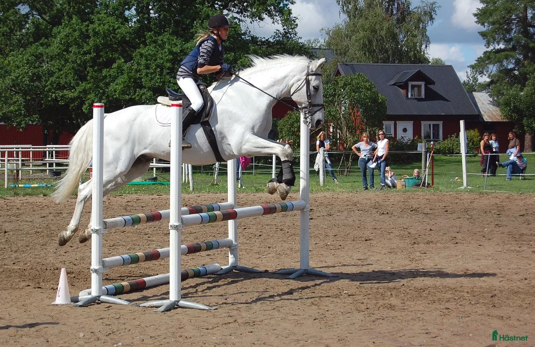  stallplats finnes: Boxplats m ridhus, två ridbanor och service Bålsta - Annons 3