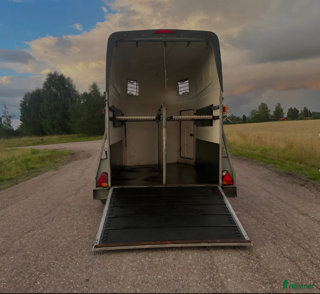 Hästtransporter  fordon & transport till salu: Rausch hästtransport  i Gustafs - Annons 2