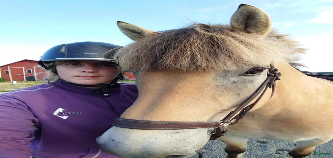 Galleribild {{count}}