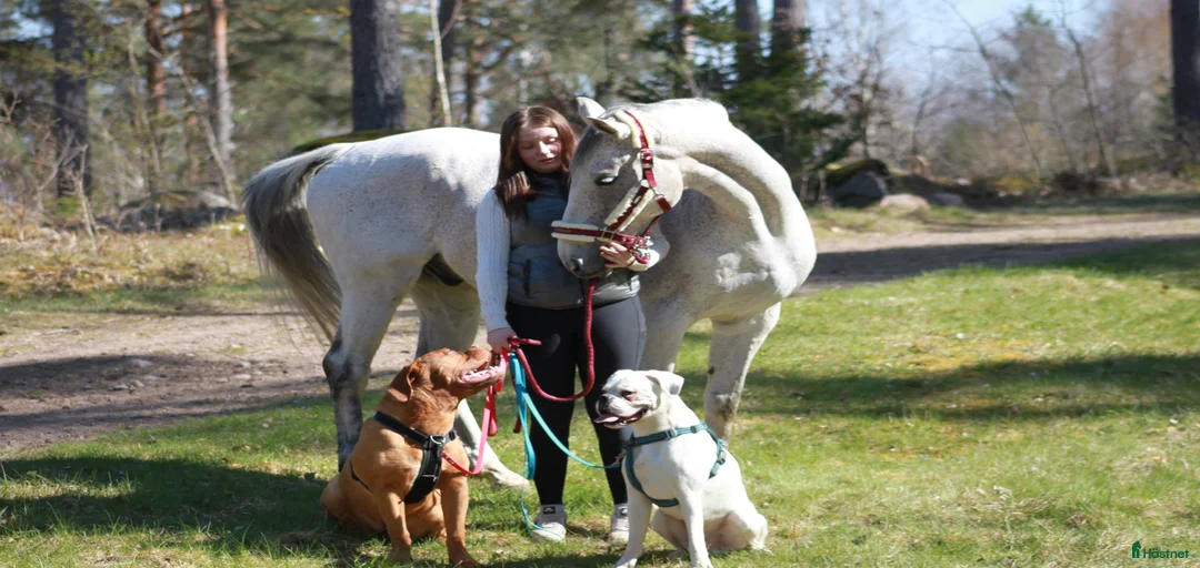 Galleribild {{count}}