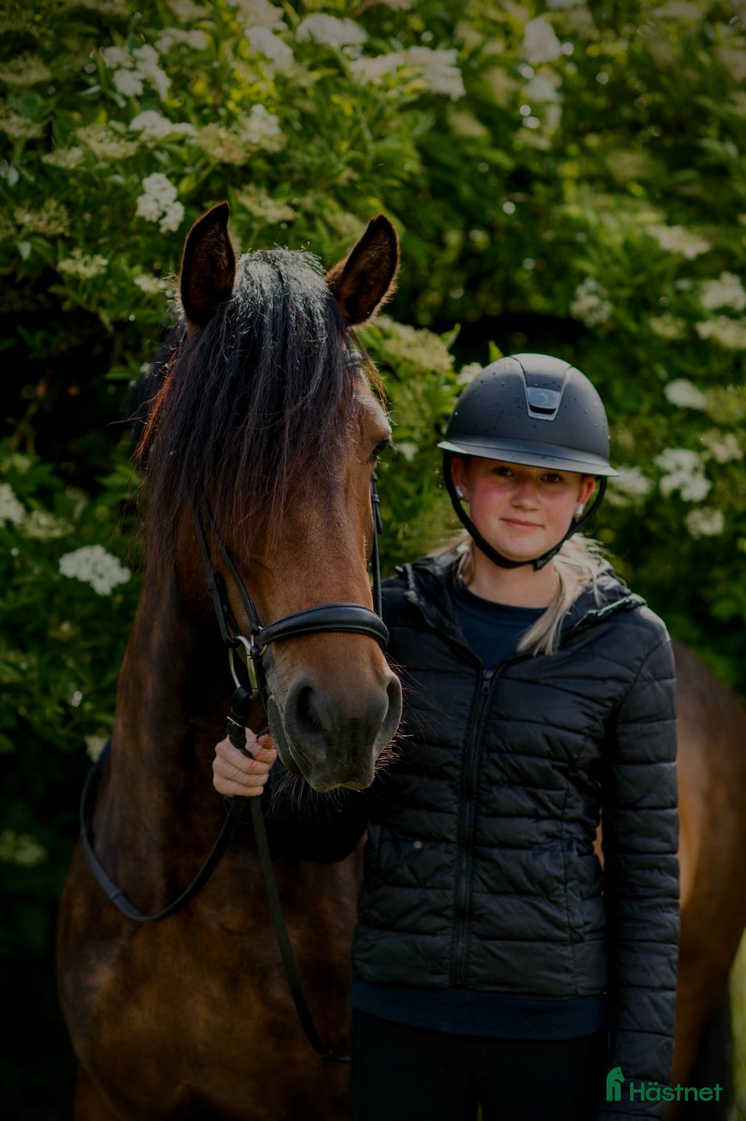 Övrig Hästutrustning hästutrustning till salu: Häst saker sökes!!!🙌🏻🙌🏻 i Braås - Annons 1