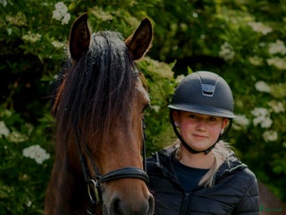 Övrig Hästutrustning hästutrustning till salu: Häst saker sökes!!!🙌🏻🙌🏻 i Braås - Annons 1