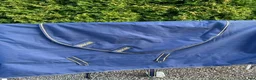 Täcken hästutrustning till salu: REGNTÄCKE - BUCAS - Annons 1